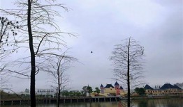 逍遥谷最新爆料新闻,最新爆料事件深度解析